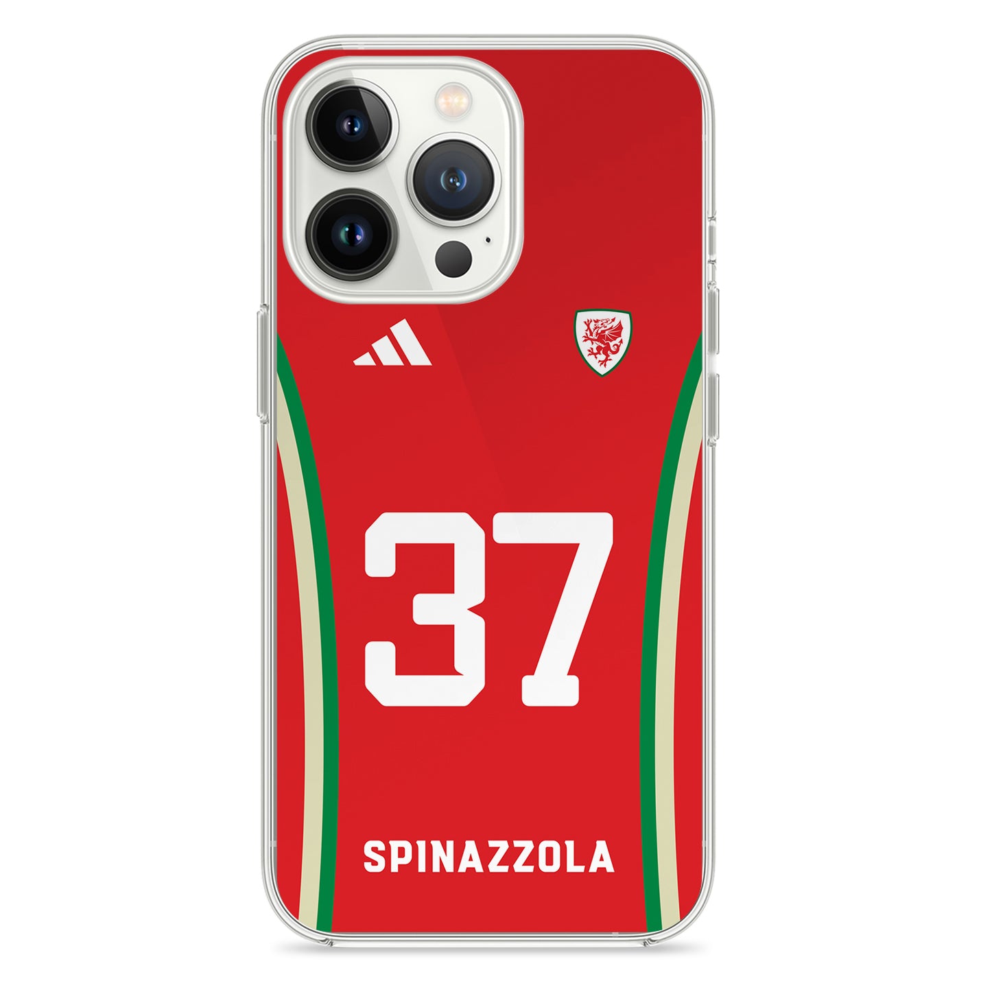 Wales Handyhülle EM 2024 - 1instaphone