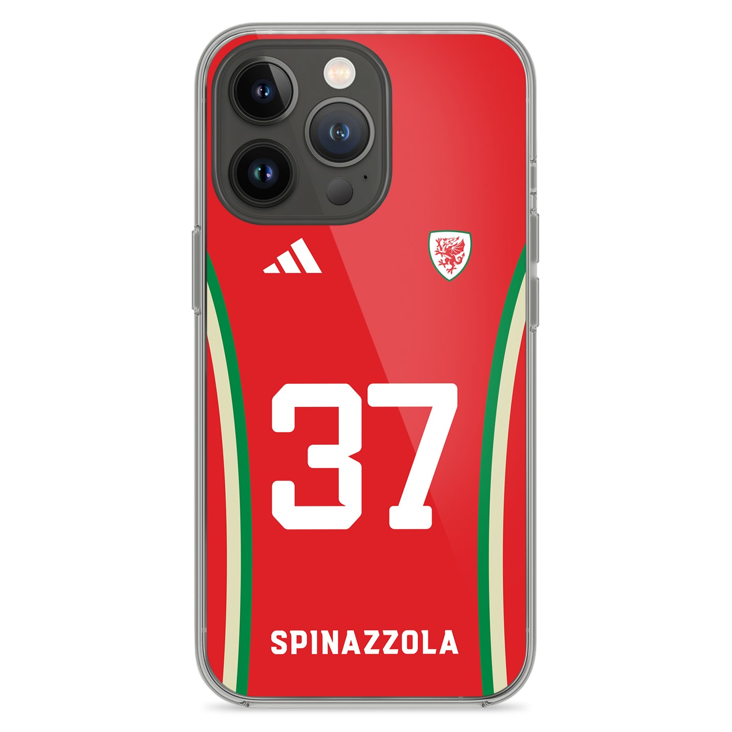 Wales Handyhülle EM 2024 - 1instaphone