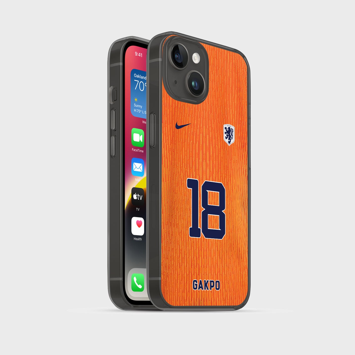 Niederlande Handyhülle EM 2024 - 1instaphone