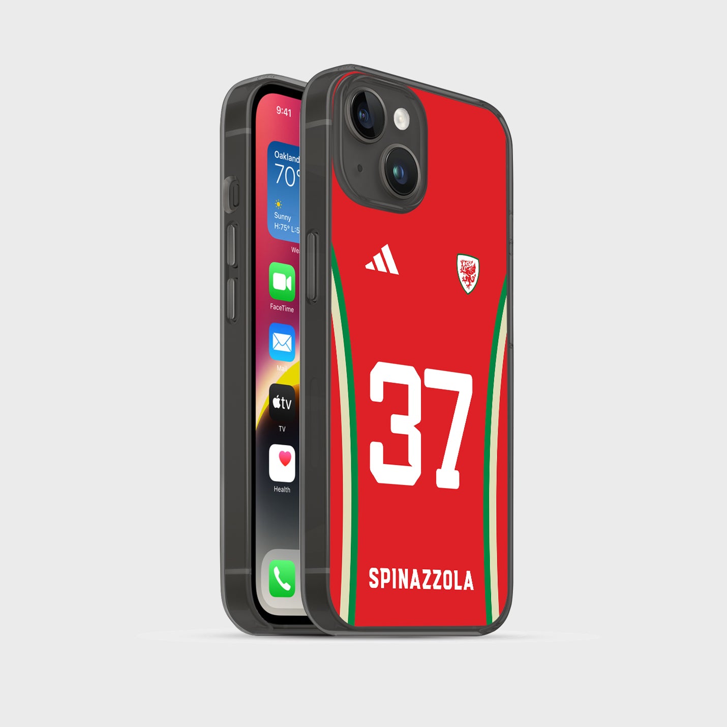 Wales Handyhülle EM 2024 - 1instaphone