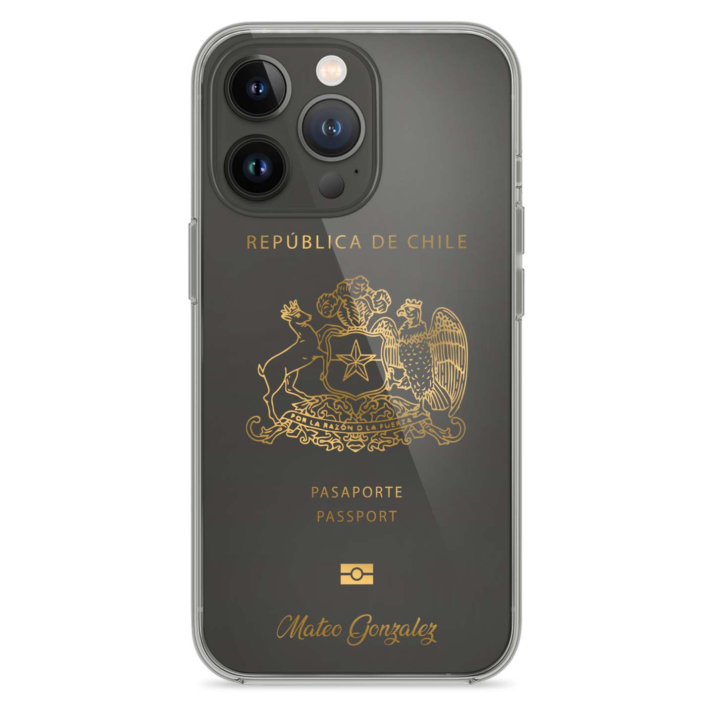 Handyhüllen mit Reisepass - Chile - 1instaphone