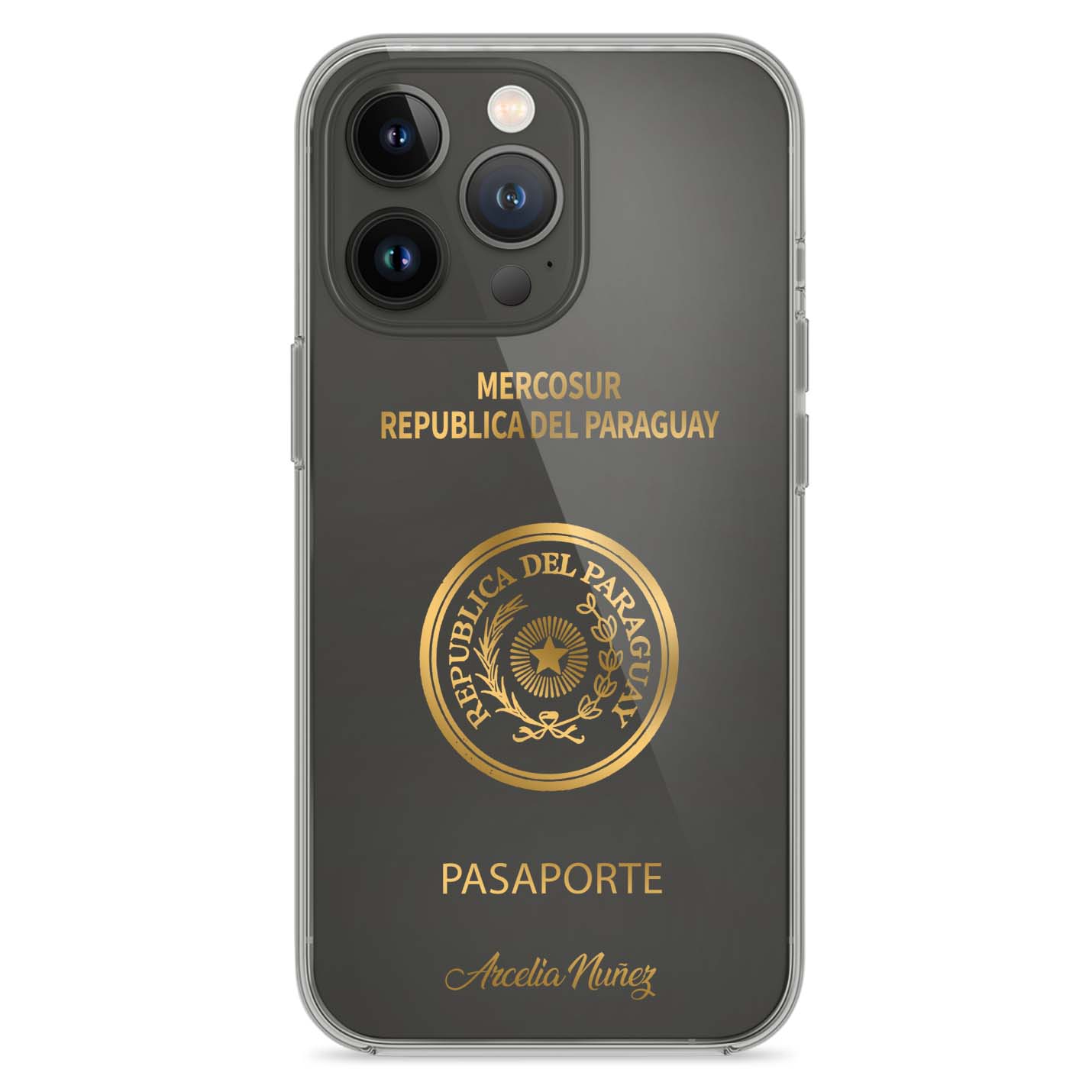 Handyhüllen mit Reisepass - Paraguay - 1instaphone