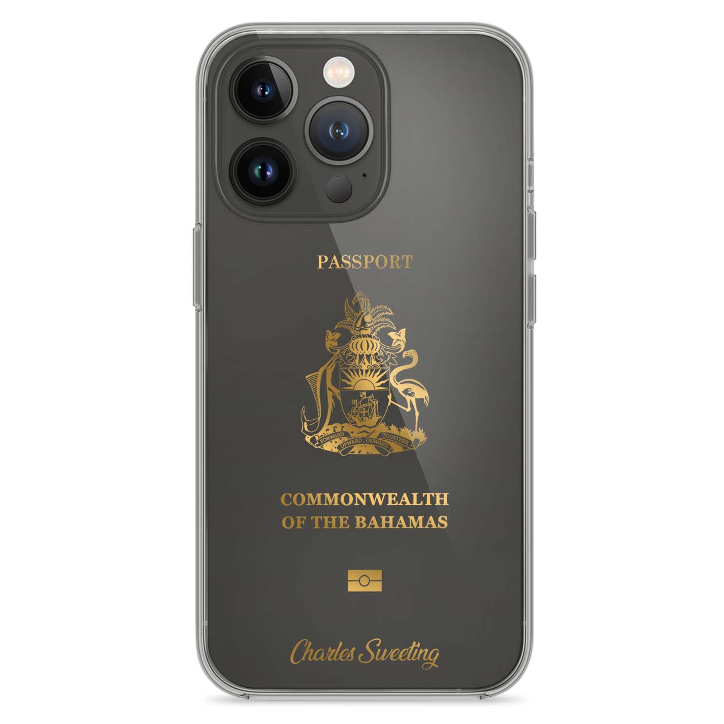 Handyhüllen mit Reisepass - Bahamas - 1instaphone