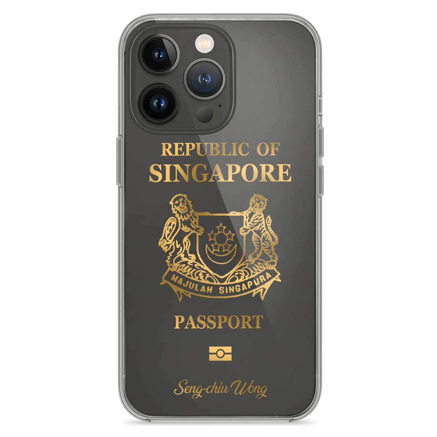 Handyhüllen mit Reisepass - Singapur - 1instaphone