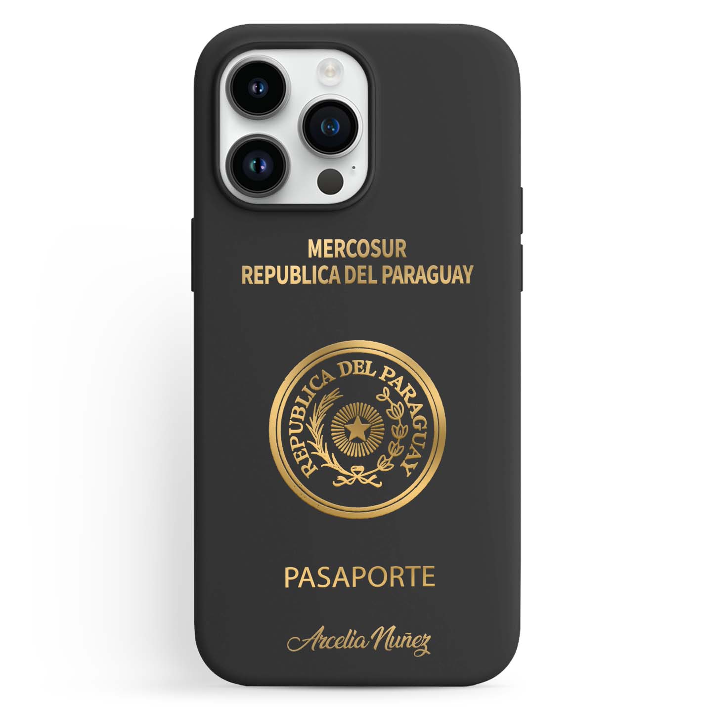 Handyhüllen mit Reisepass - Paraguay - 1instaphone