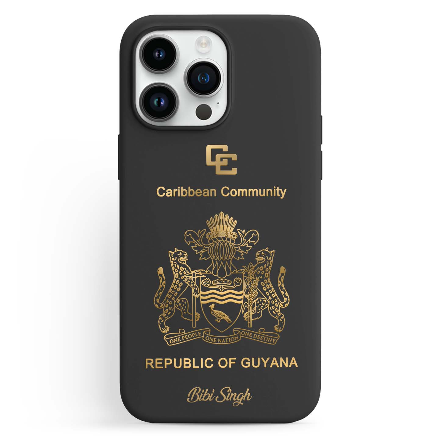 Handyhüllen mit Reisepass - Guyana - 1instaphone