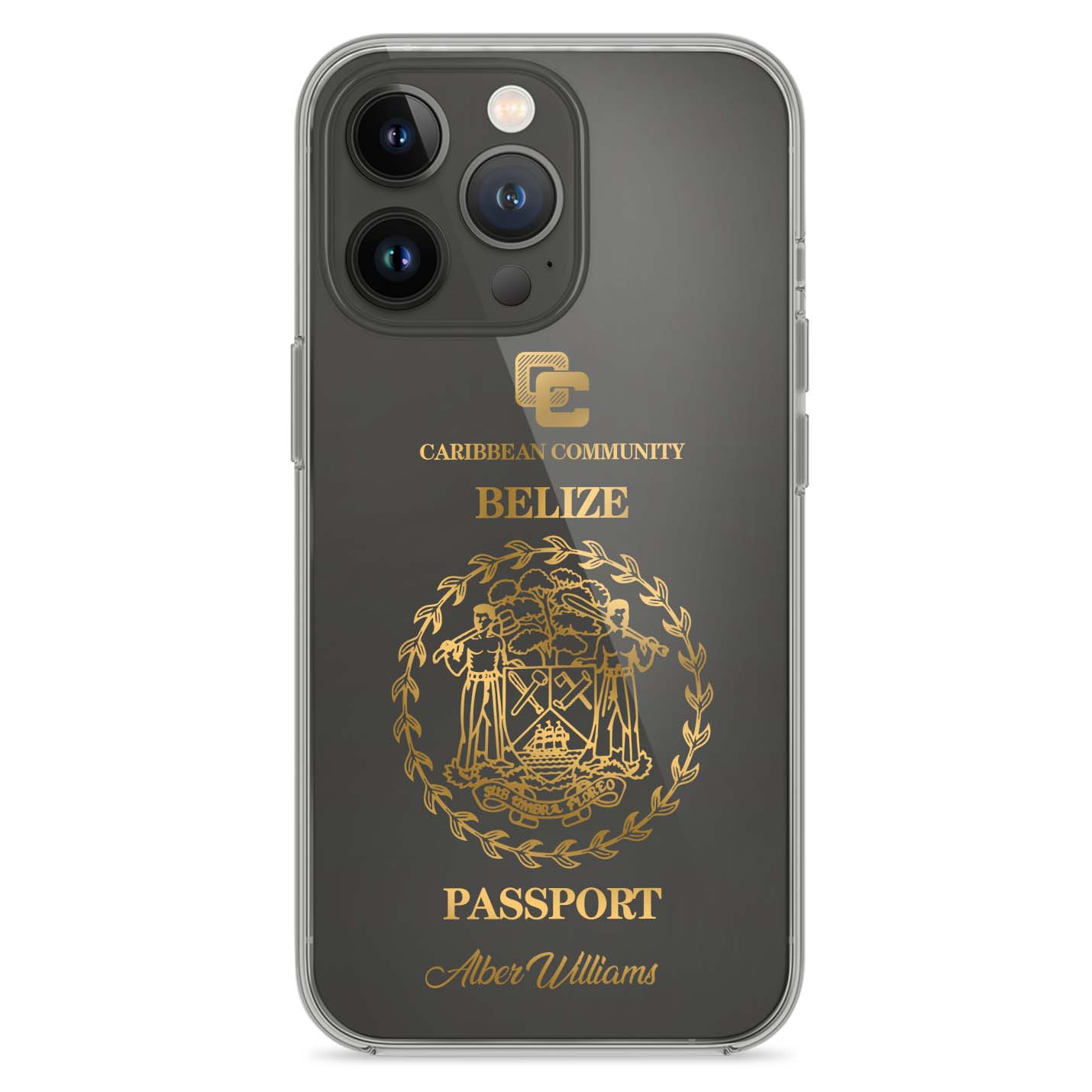 Handyhüllen mit Reisepass - Belize - 1instaphone