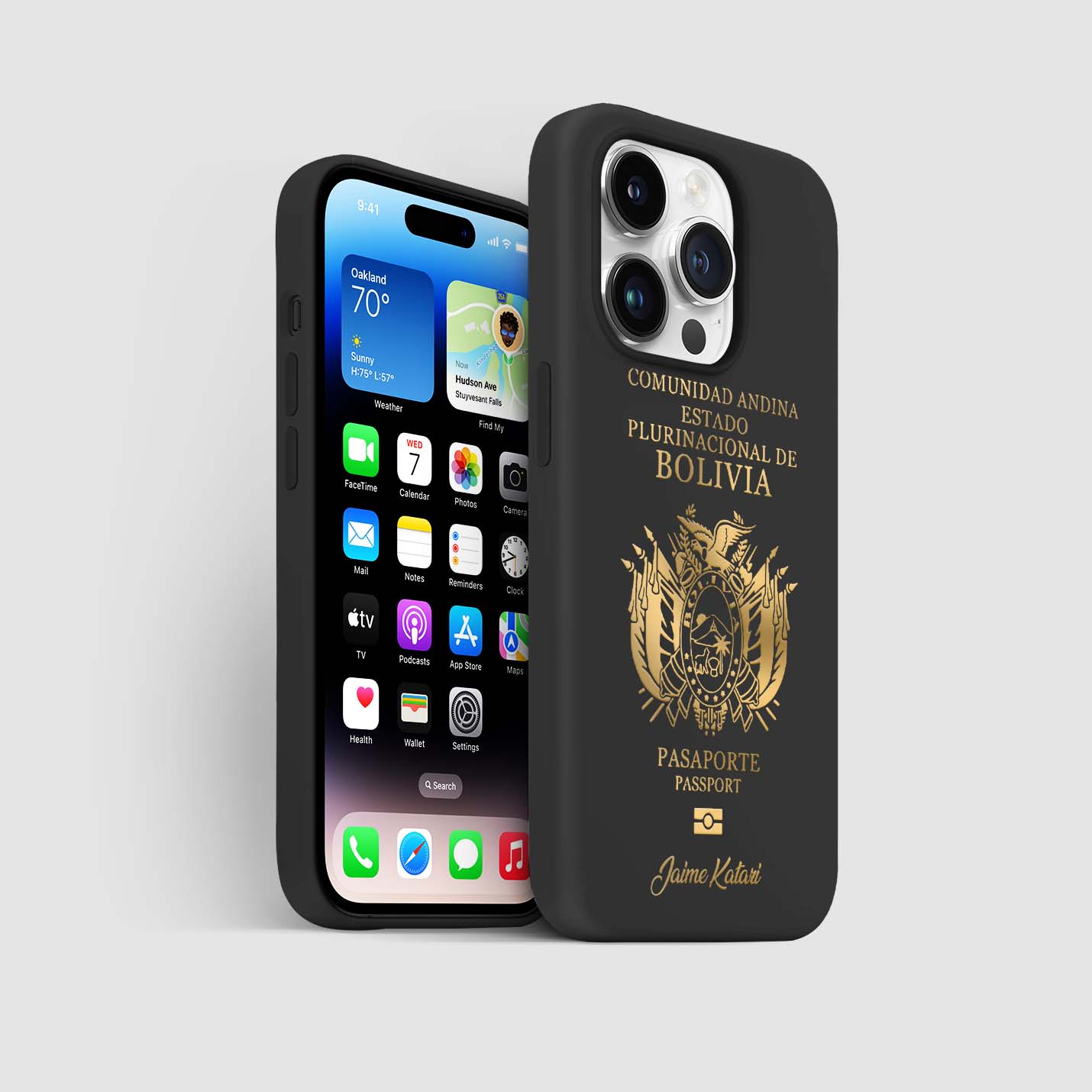 Handyhüllen mit Reisepass - Bolivien - 1instaphone