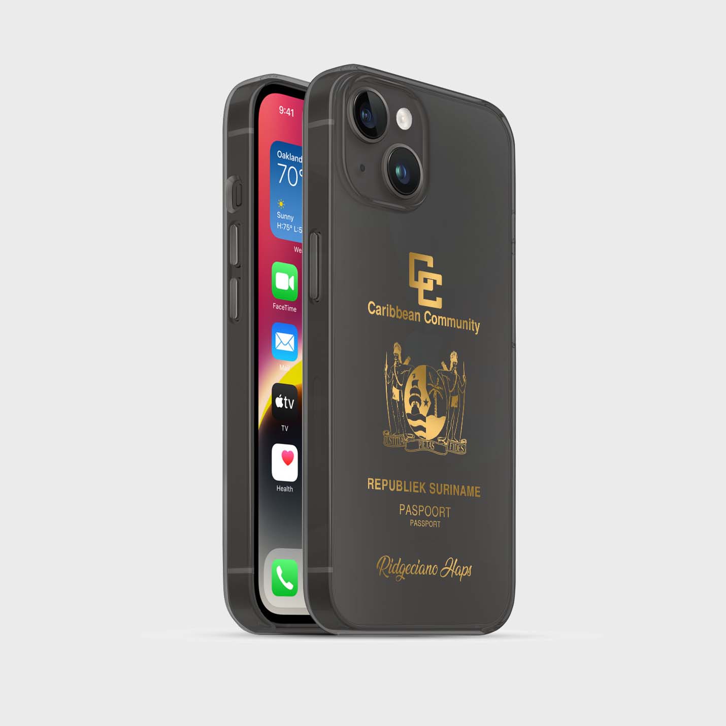 Handyhüllen mit Reisepass - Suriname - 1instaphone