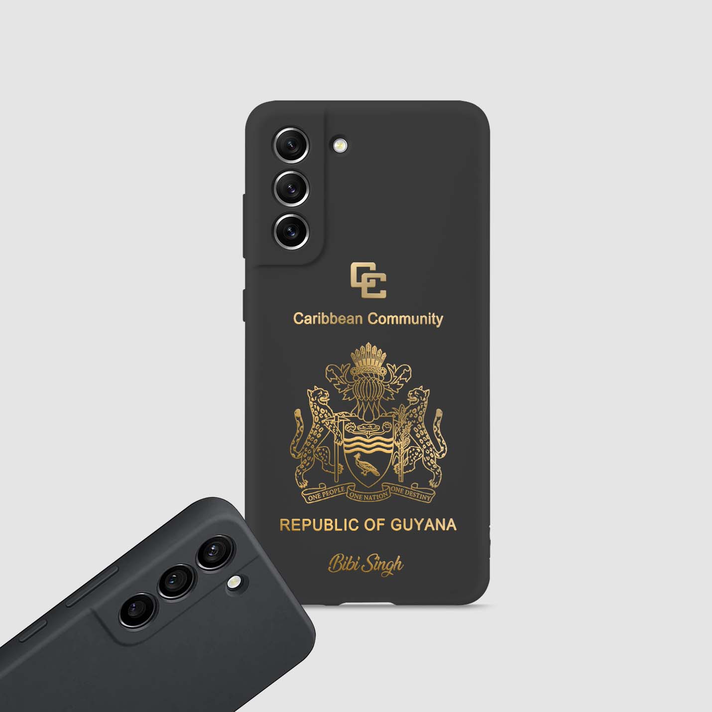 Handyhüllen mit Reisepass - Guyana - 1instaphone